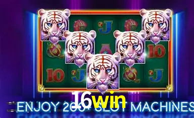 16win,16win.com